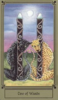Fantastical Tarot - TAROT DECK