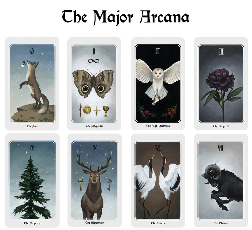 Anima Mundi Tarot Deck 78 Card Deck With Guide Book Original Size - TAROT DECK