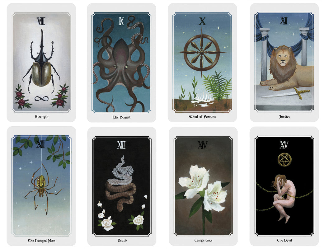 Anima Mundi Tarot Deck 78 Card Deck With Guide Book Original Size - TAROT DECK
