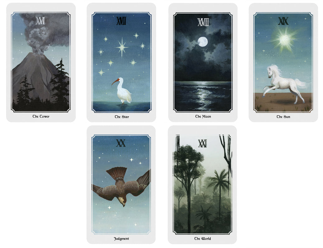 Anima Mundi Tarot Deck 78 Card Deck With Guide Book Original Size - TAROT DECK