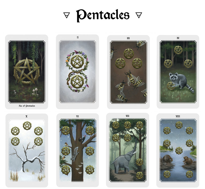 Anima Mundi Tarot Deck 78 Card Deck With Guide Book Original Size - TAROT DECK
